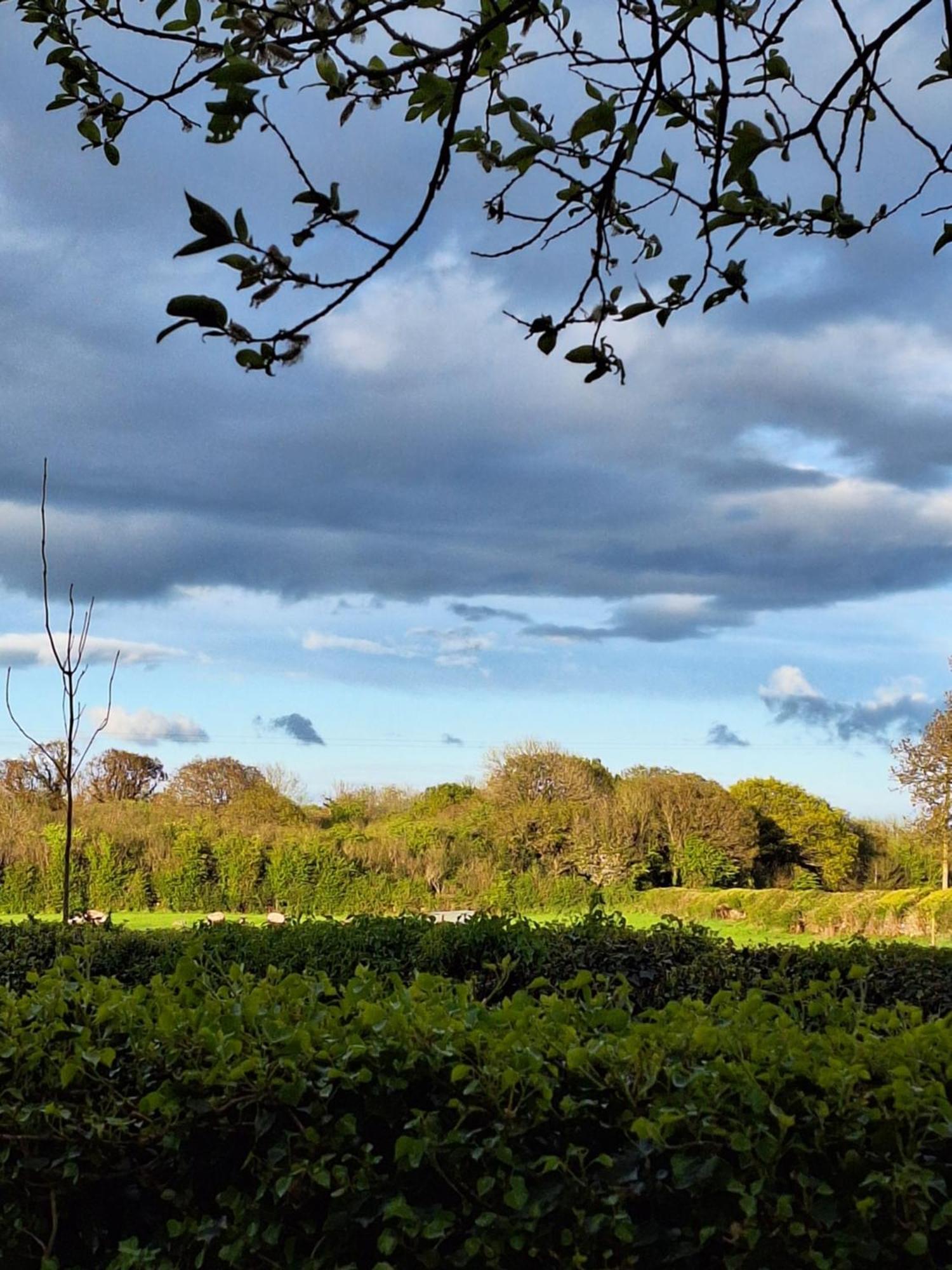 Ard Aoibhinn Roscommon Lecarrow Exterior photo
