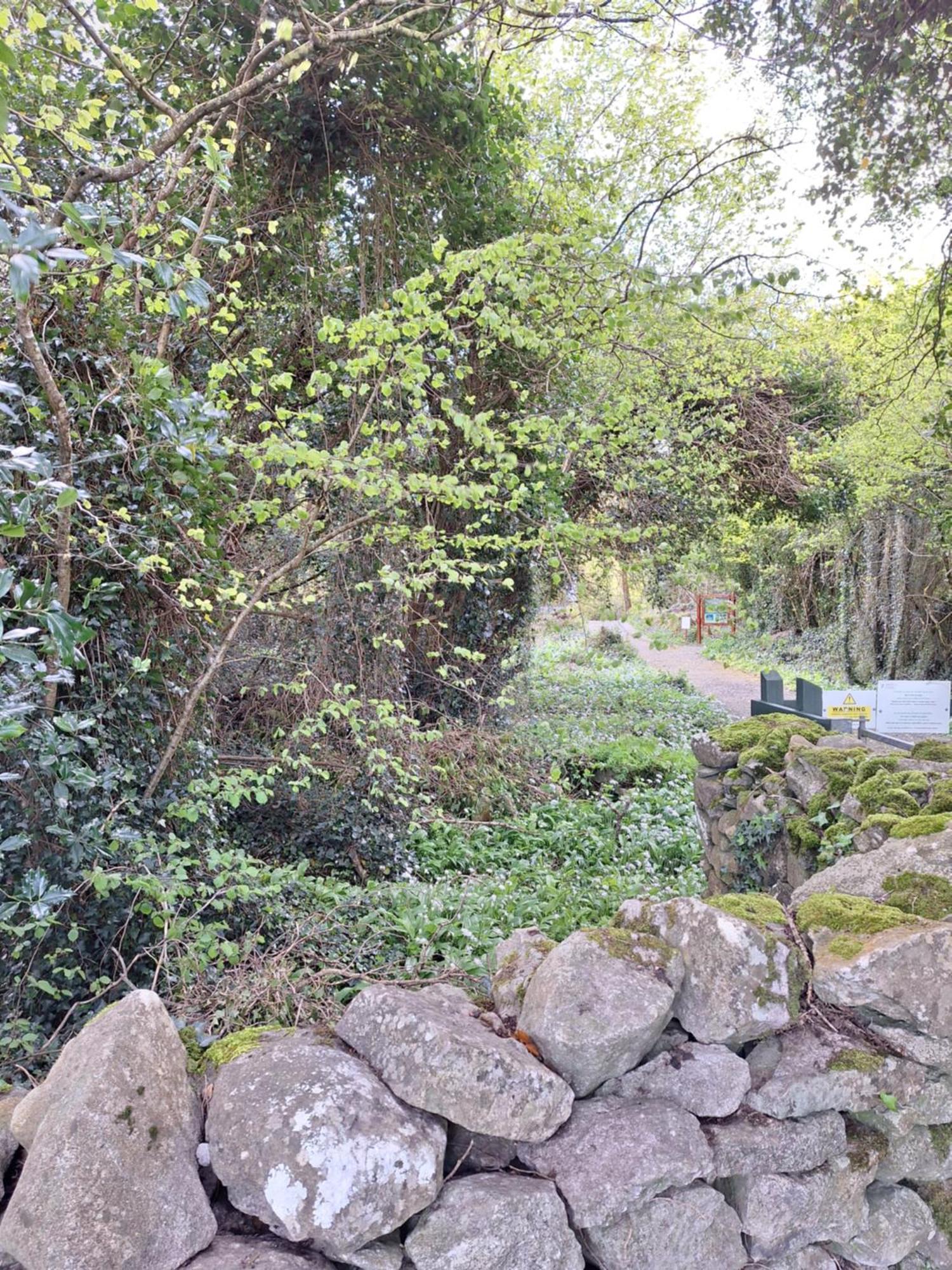 Ard Aoibhinn Roscommon Lecarrow Exterior photo